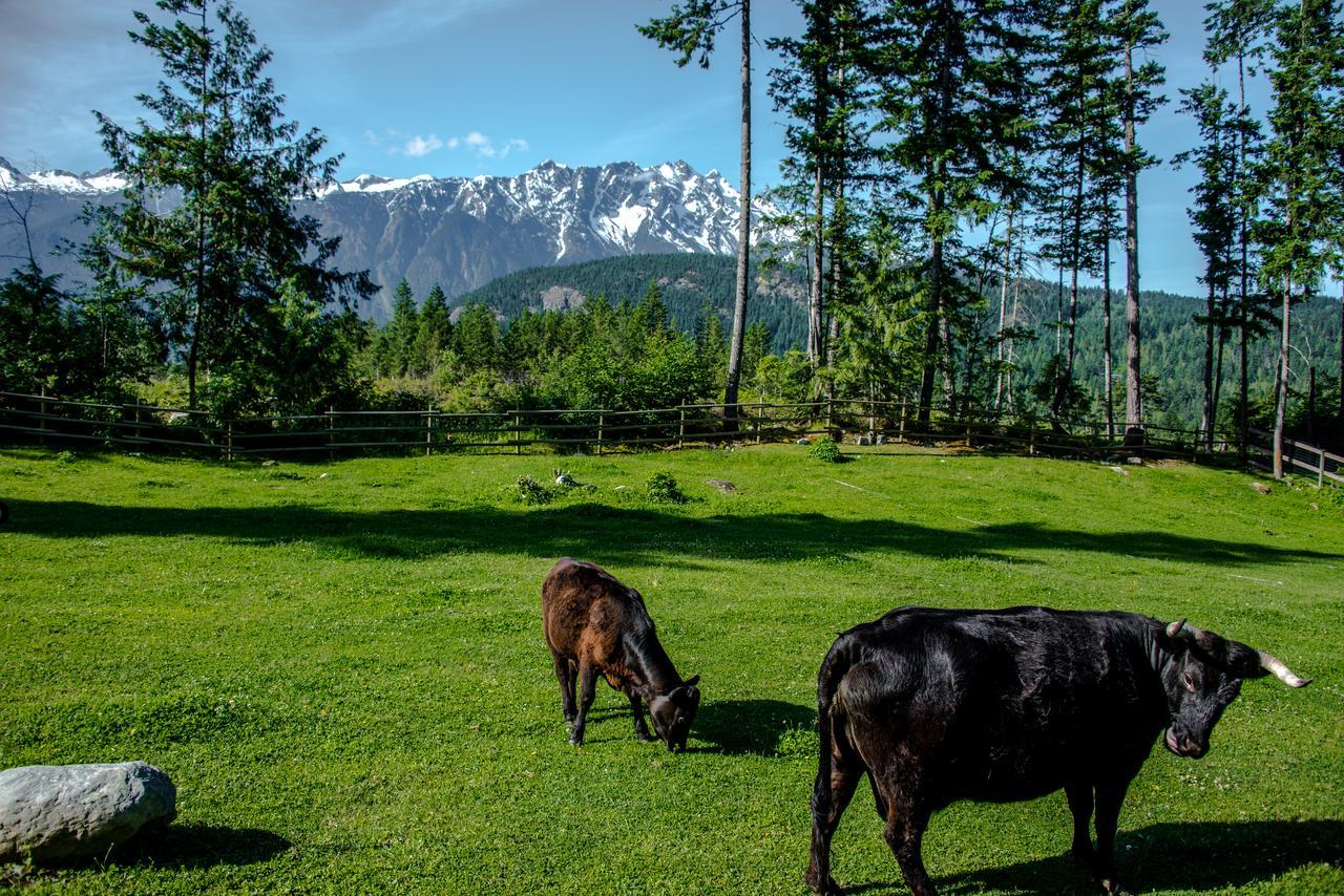 فيلا Sweetwater Lane Farm Mount Currie المظهر الخارجي الصورة