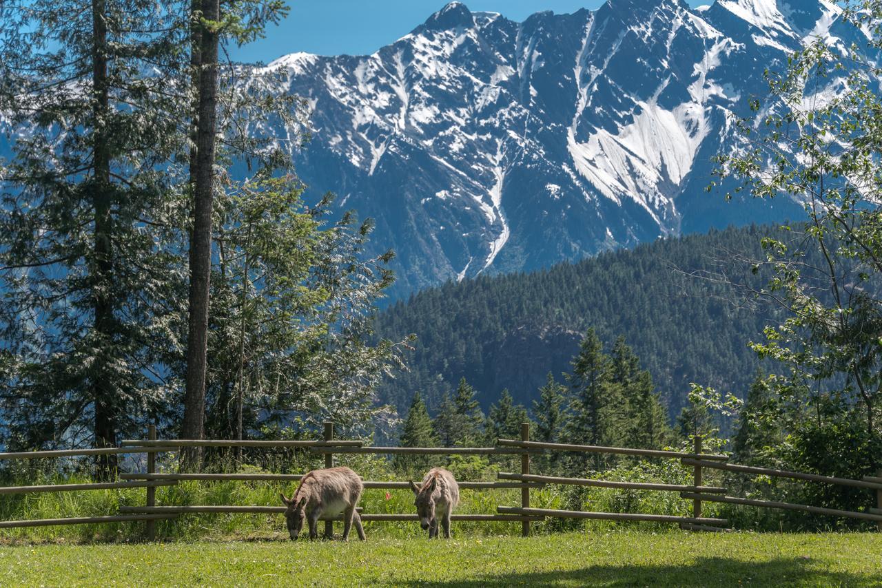 فيلا Sweetwater Lane Farm Mount Currie المظهر الخارجي الصورة