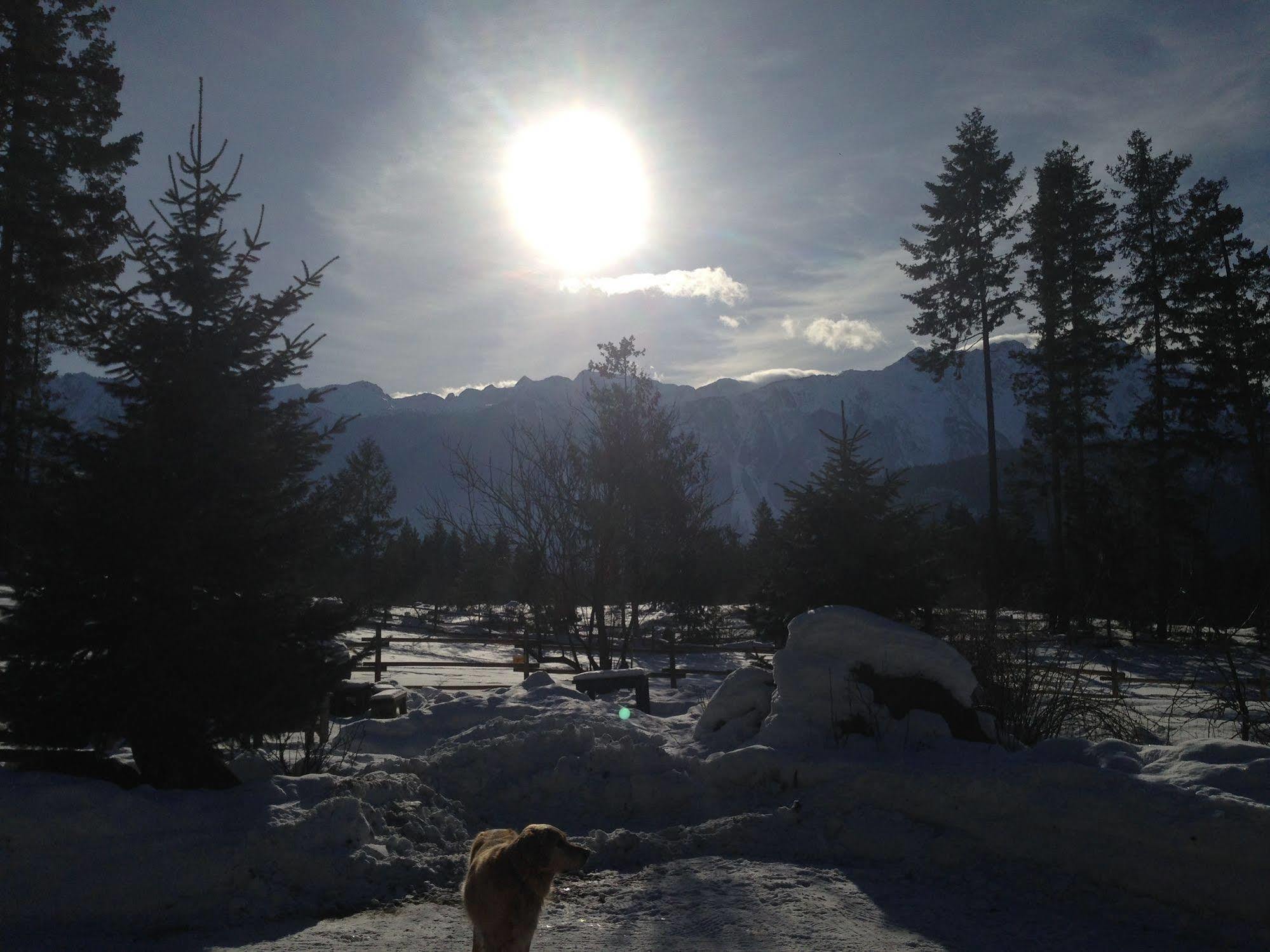 فيلا Sweetwater Lane Farm Mount Currie المظهر الخارجي الصورة